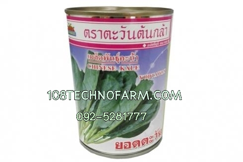 คะน้ายอดตะวัน 